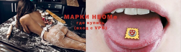 гидра Абаза