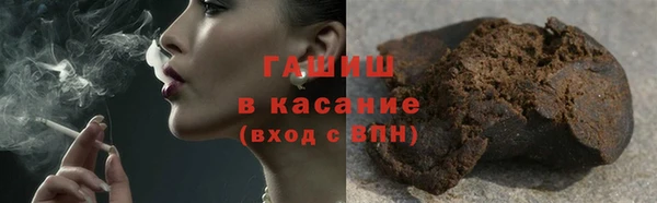 гидра Абаза