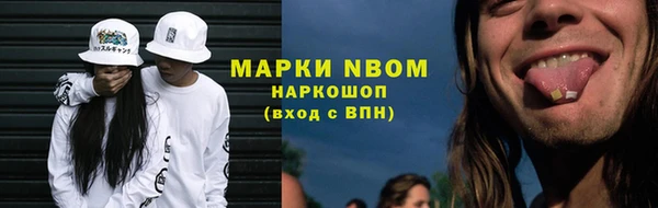 гидра Абаза