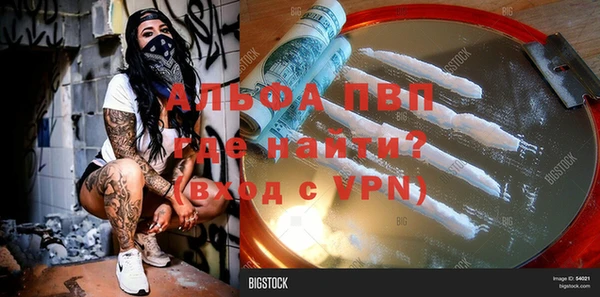 спайс Бежецк
