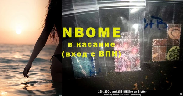 гидра Абаза