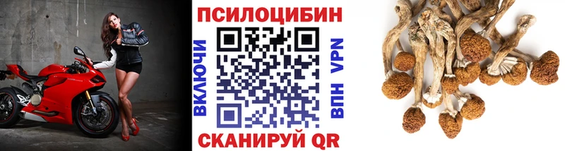 Галлюциногенные грибы Cubensis  Кимовск 
